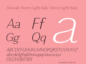 Grenale Norm Light Italic