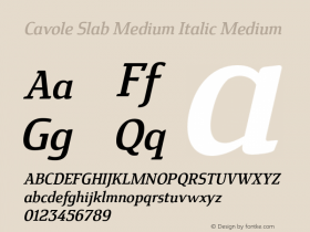 Cavole Slab Medium Italic