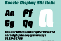 Boozle Display SSi