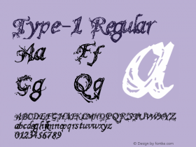 Type-1