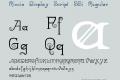 Riccio Display Script SSi