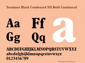 Terminus Black Condensed SSi