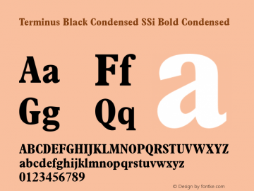 Terminus Black Condensed SSi