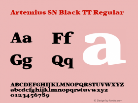 Artemius SN Black TT