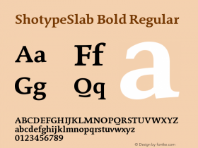 ShotypeSlab Bold