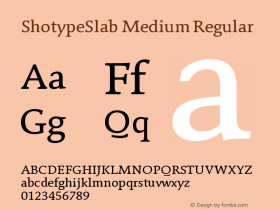 ShotypeSlab Medium