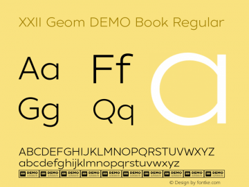 XXII Geom Book