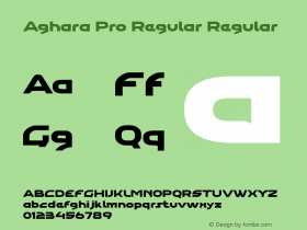 Aghara Pro Regular