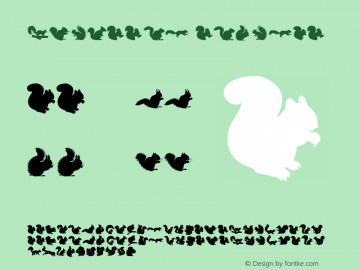 Squirrel