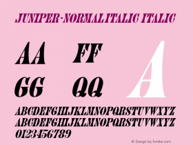 Juniper-Normal Italic