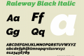 Raleway Black