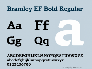 Bramley EF Bold
