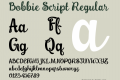 Bobbie Script