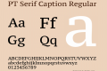 PT Serif Caption