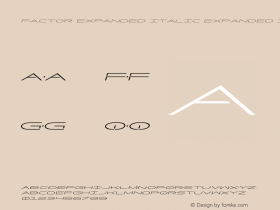 Factor Expanded Italic