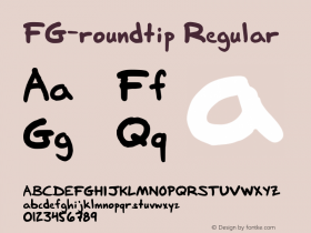 FG-roundtip