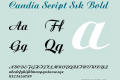 Candia Script Ssk
