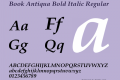 Book Antiqua Bold Italic