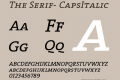 The Serif-