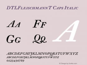 DTLFleischmannT Caps