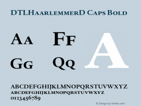 DTLHaarlemmerD Caps