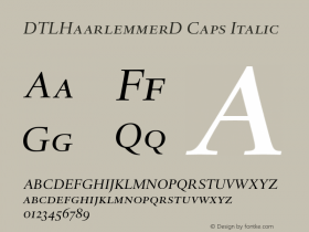 DTLHaarlemmerD Caps