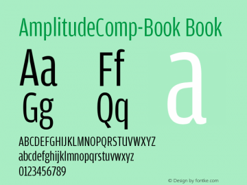 AmplitudeComp-Book