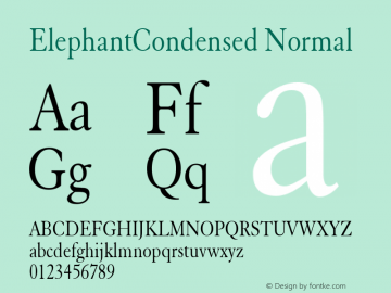 ElephantCondensed