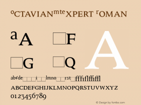 OctavianMTExpert