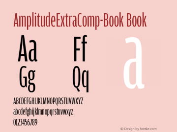 AmplitudeExtraComp-Book