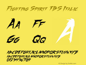 Fighting Spirit TBS