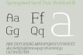 Springsteel Serif Thin Webfont