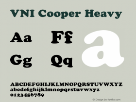 VNI Cooper