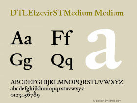 DTLElzevirSTMedium