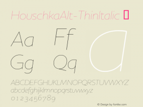 HouschkaAlt-ThinItalic