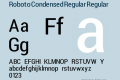 Roboto Condensed Regular