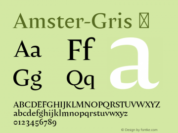 Amster-Gris