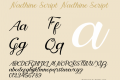 Nadhine Script