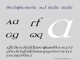 TechPhonetic Wd italic