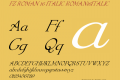 FZ ROMAN 16 ITALIC