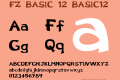 FZ BASIC 12