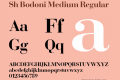 Sh Bodoni Medium