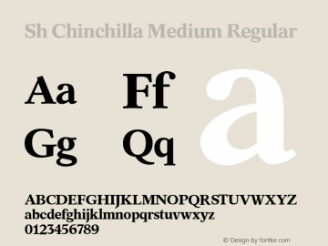 Sh Chinchilla Medium