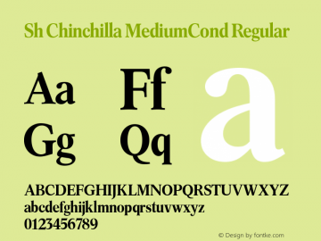 Sh Chinchilla MediumCond