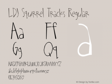 LDJ Squirrel Tracks