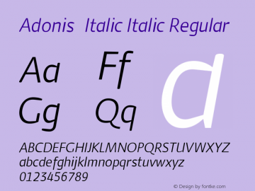 Adonis-Italic Italic