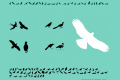 Bird Silhouettes reverse