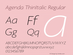 Agenda ThinItalic