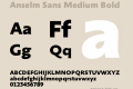 Anselm Sans Medium