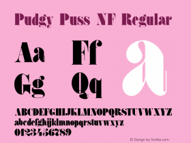 Pudgy Puss NF